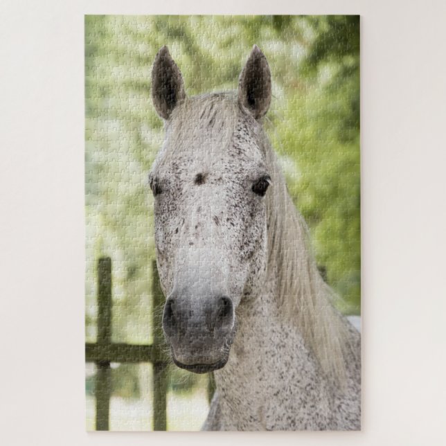 Quebra-cabeça Cavalo Appaloosa (Vertical)