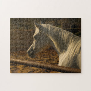 Quebra-cabeça Cavalo árabe cinzento