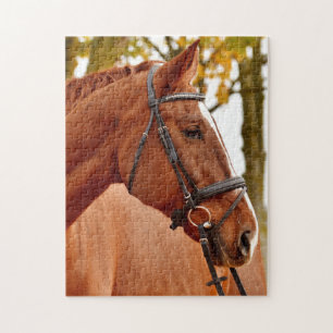 Quebra-cabeça Cavalo bonito de Brown