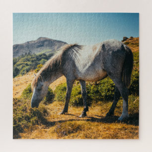 Quebra-cabeça Cavalo Branco e Cinza Espalhando com Sol brilhando