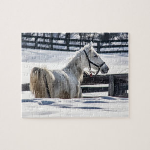 Quebra-cabeça Cavalo Branco Na Neve