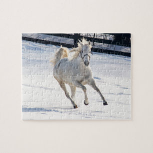 Quebra-cabeça Cavalo branco que funciona na neve
