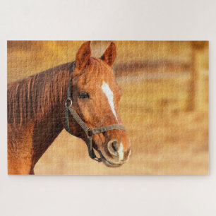 Quebra-cabeça Cavalo castanho