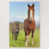 Cavalo-Cinto e Animais da Fazenda Amigos-Cachorros