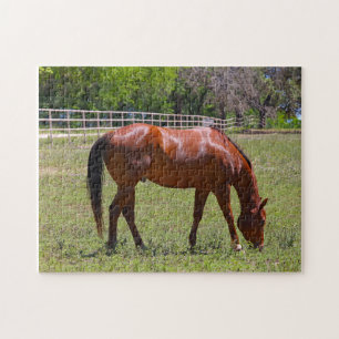 Quebra-cabeça Cavalo de castanha em campo
