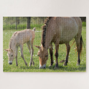 Quebra-cabeça Cavalo de Przewalski e Espuma de Foal
