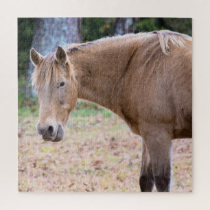 Quebra-cabeça Cavalo é Cavalo de Curso - 20x20 polegadas