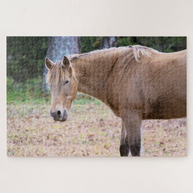 Quebra-cabeça Cavalo é um Cavalo - 20x30 polegadas (Horizontal)