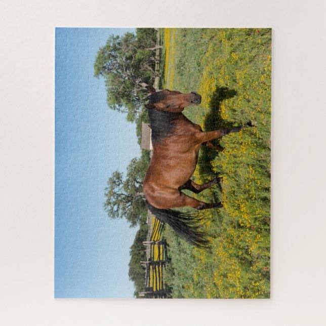 Quebra-cabeça Cavalo em Medow (Vertical)
