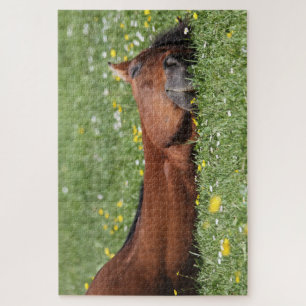 Quebra-cabeça Cavalo Engraçado sorrindo no campo de pastagem