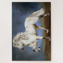 Cavalo Islandês de Nobre Andadura