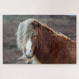 Quebra-cabeça Cavalo islandês selvagem num campo