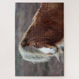 Quebra-cabeça Cavalo islandês selvagem num campo