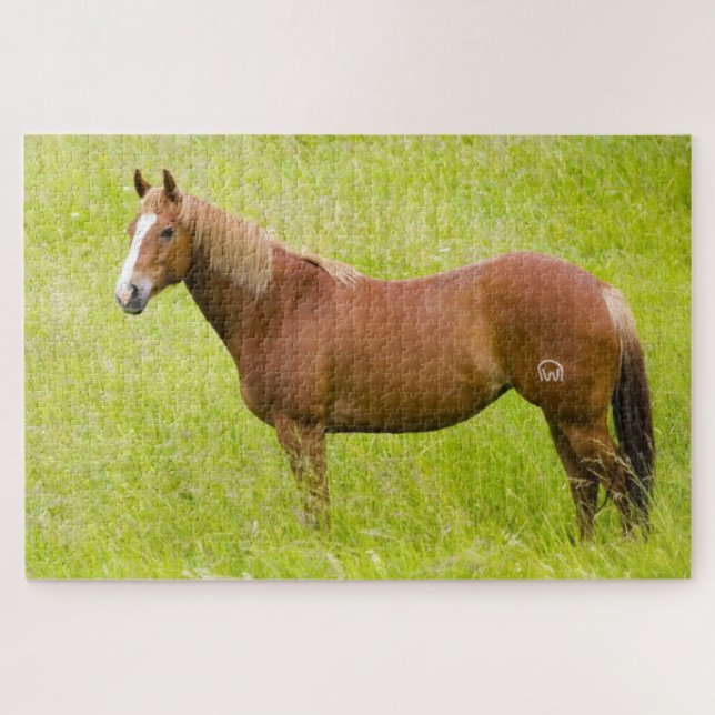 Quebra-cabeça Cavalo no Campo de Primavera (Horizontal)