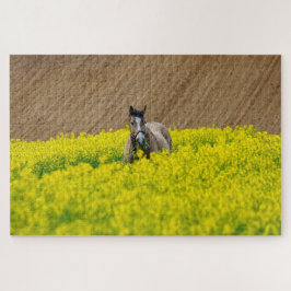 Quebra-cabeça Cavalo num campo de flores
