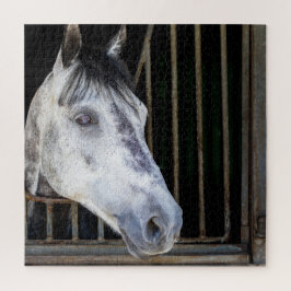 Quebra-cabeça Cavalo numa banca