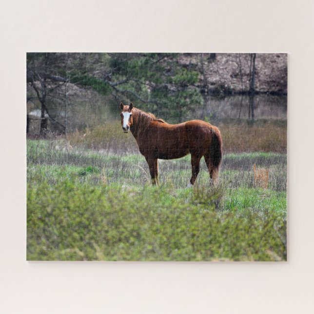 Quebra-cabeça Cavalo olhando para trás (Horizontal)