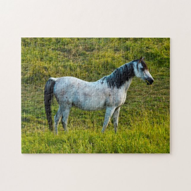Quebra-cabeça cavalo Palouse, Colfax, Área Palouse, Washington (Horizontal)