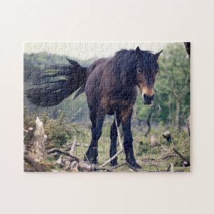Quebra-cabeça Cavalo Selvagem