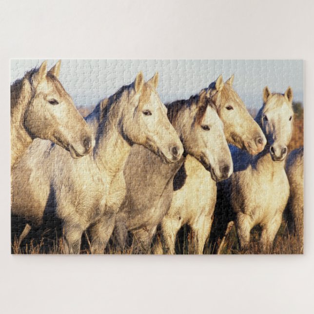 Quebra-cabeça Cavalos Camargue (Eguus caballus) (Horizontal)