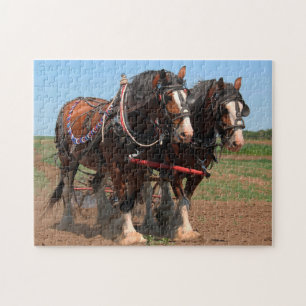 Quebra-cabeça Cavalos Clydesdale Arando.