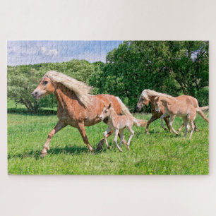 Quebra-cabeça Cavalos de Haflinger com Pés Bonitos Rodam Foto En