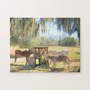 Quebra-cabeça Cavalos e burros - Série Vida Fazenda - Quebra-cab