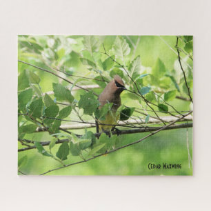 Quebra-cabeça Cedar Waxwing, do amante de pássaros