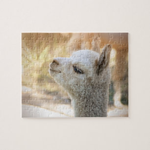 Quebra-cabeça Celeste da alpaca