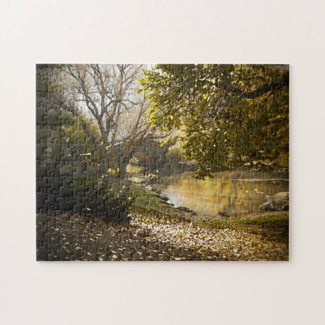 Quebra-cabeça Cena de abstrato. Central Park New York. (Horizontal)