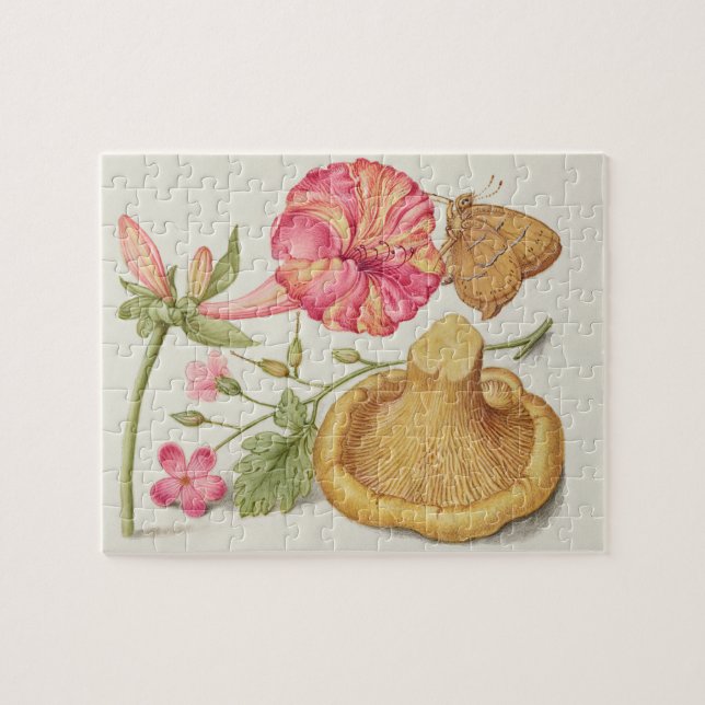 Quebra-cabeça Cena de jardim com flores, borboleta e cogumelo (Horizontal)