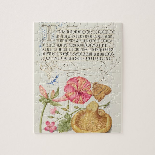Quebra-cabeça Cena de jardim com flores, borboleta e cogumelo (Vertical)