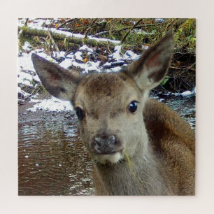Quebra-cabeça Cena Florestal com Adorável Cervo Vermelho Bebê Ga