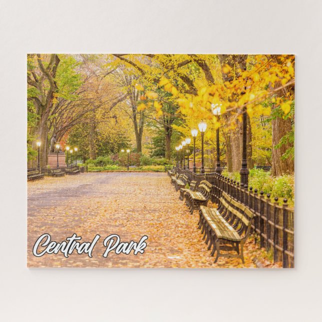 Quebra-cabeça Central Park, Manhattan, Nova Iorque, EUA (Horizontal)