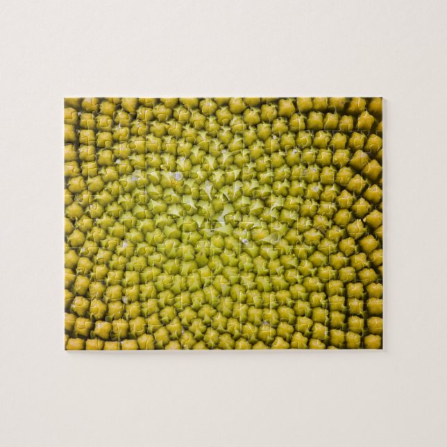 Quebra-cabeça Centro do girassol gigante (Helianthus annuus) (Horizontal)