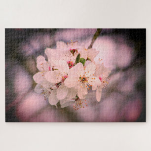 Quebra-cabeça Cereja floresce no Japão, cor-de-rosa bonito único