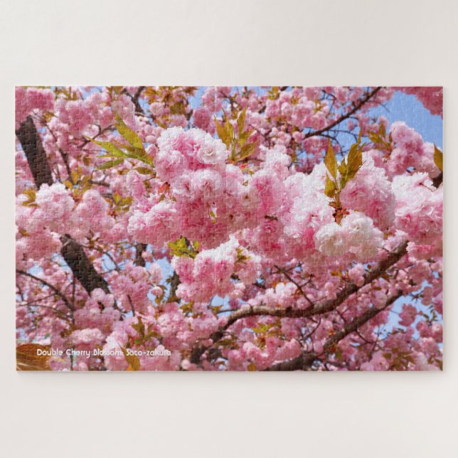 Quebra-cabeça Cerejeira Dupla: Sato-zakura (Horizontal)