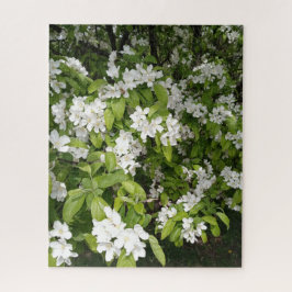 Quebra-cabeça Cerejeiras em Flor na Sombra e na Luz