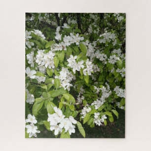 Quebra-cabeça Cerejeiras em Flor na Sombra e na Luz
