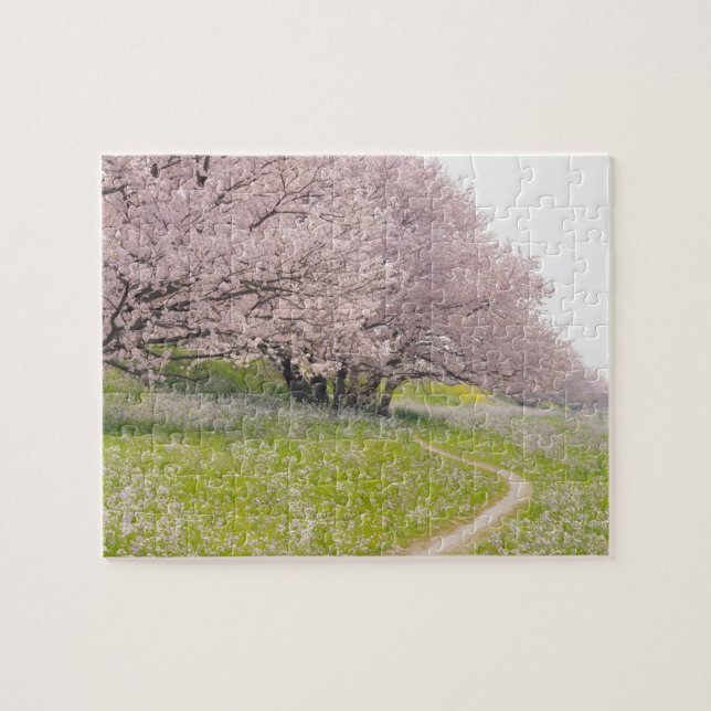 Quebra-cabeça Cerejeiras Yoshino florescentes num campo (Horizontal)