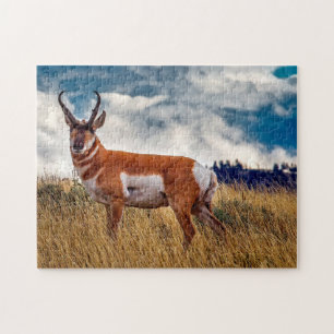 Quebra-cabeça Cervo Pronghorn Wyoming.