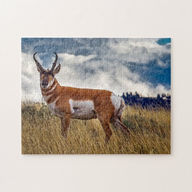 Quebra-cabeça Cervo Pronghorn Wyoming. (Horizontal)