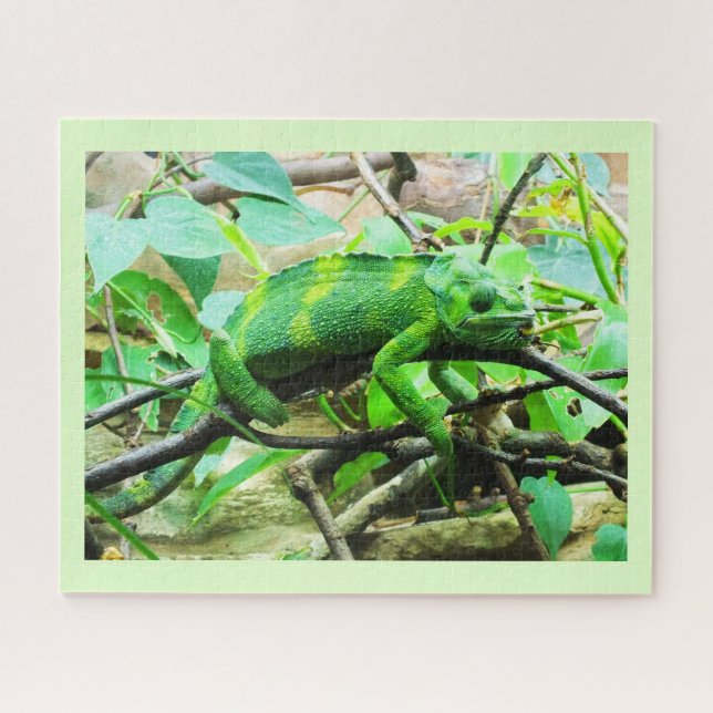 Quebra-cabeça Chameleon (Horizontal)