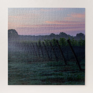 Quebra-cabeça Chardonnay Vineyard Sunrise