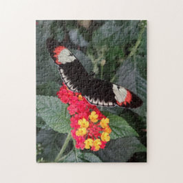 Quebra-cabeça chave da borboleta do piano