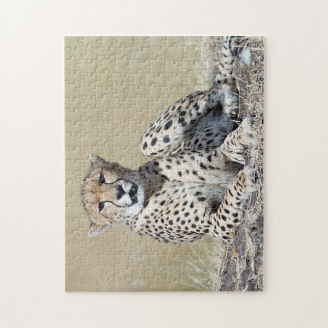 Quebra-cabeça Cheetah (Vertical)