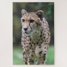 Quebra-cabeça Cheetah_20180803_by_JAMFoto