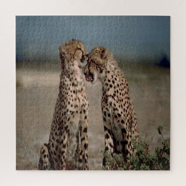 Quebra-cabeça Cheetah Love (Vertical)