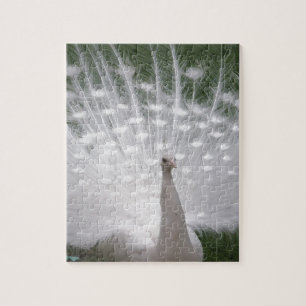 Quebra-cabeça Cheio de Pavão branco (Peafowl)