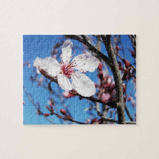 Quebra-cabeça Cherry Blossom 2 (Horizontal)